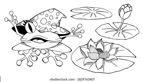 Rana aislada en un gran sombrero, lirio de agua. Borde negro. Libro de dibujos a mano para niños y adultos. Hermosos dibujos con pequeños detalles. Diseño para tarjetas, volantes, folletos. Vector