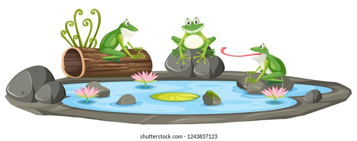 Isolated frog in the pond illustration