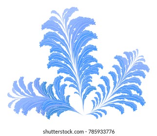 isolated frosty ice pattern in the shape of a bouquet