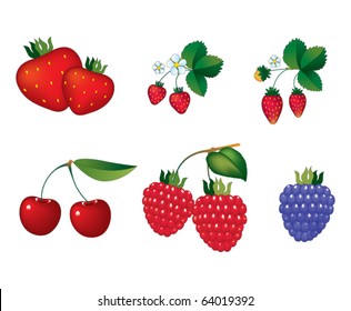 Isolated fruits berries on white background