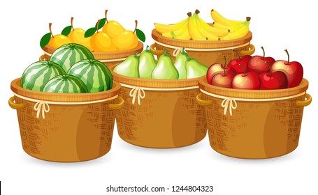 Isolated fruits in different basket illustration