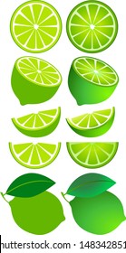 Isolated Fruits Lime Set on White Background