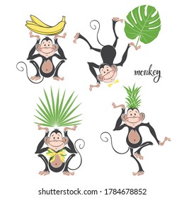 Isolated funny monkeys.Vector illustration, four characters on a white background.