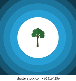 Isolated Garden Flat Icon. Evergreen Vector Element Can Be Used For Evergreen, Tree, Timber Design Concept.