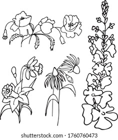 Isolated GARDEN FLOWERS, hand drawn, black and white, Vector EPS 10. Use for print on dishes, greeting card, invitations, textiles,  books, wallpaper, fabric, wrappers, decor.