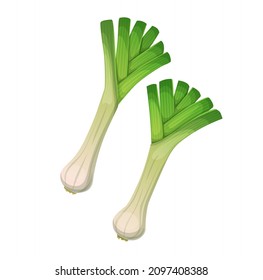 Isolated garden raw leek onion vegetables with leaves, vector fresh food organic farm harvest. Green stalks or stems of leek with white bulbs and ripe leaf sheats isolated cartoon illustration