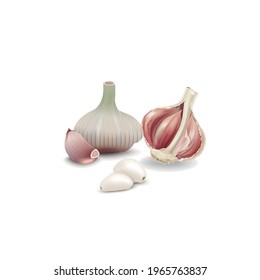 Ajo aislado. Gárlico crudo con segmentos aislados en fondo blanco.Ilustración vectorial.