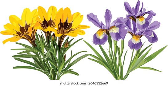 Isolated Gazania rigens and Iris tectorum, garden flowers, botanical elements, ornamental plants, natural foliage, tropical garden, vector illustration, floral arrangement, greenery.