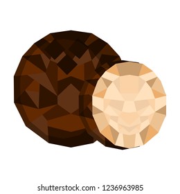 Isolated geometric coconut cut. Low Poly. Vector illustration dsign