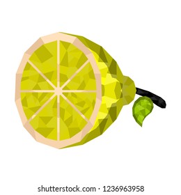 Isolated geometric lemon cut. Low Poly. Vector illustration design