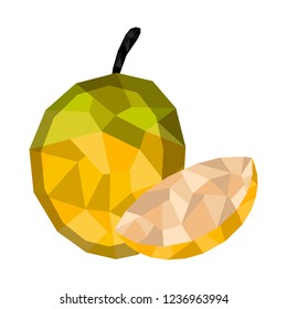 Isolated geometric orange cut. Low Poly. Vector illustration design