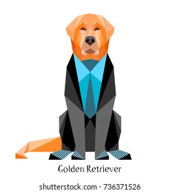 Isolated geometrically styled model of the Golden Retriever in business clothes. Animal in clothes. Origami. Colorful low-poly-illustration
