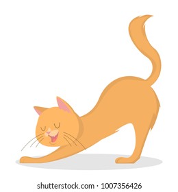 Isolated ginger cat with long tail on white.