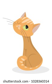 Isolated ginger cat sitting on white background.
