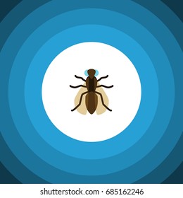Isolated Gnat Flat Icon. Mosquito Vector Element Can Be Used For Gnat, Mosquito, Hum Design Concept.