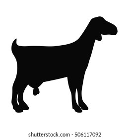 Isolated goat animal design