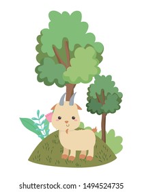 Isolated goat cartoon vector design