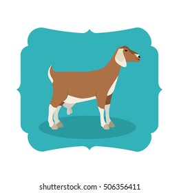 Isolated goat livestock animal design