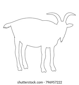  isolated goat outline on white background