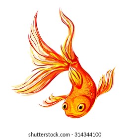 Isolated gold aquarium fish on a white background. Vector illustration.