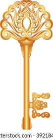 isolated golden key