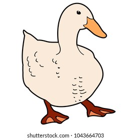 isolated goose, duck on white background