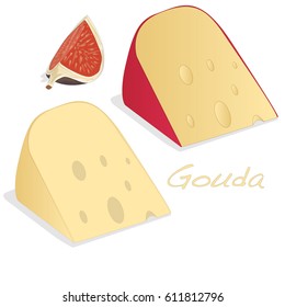 Isolated Gouda cheese  vector illustration on a white background