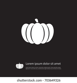 Isolated Gourd Icon. Pumpkin  Vector Element Can Be Used For Gourd, Pumpkin, Squash Design Concept.