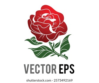 The isolated gradient red elegant rose flower with green leafs 