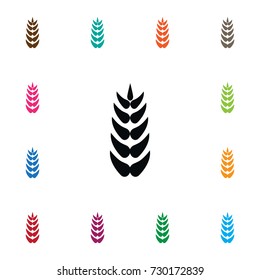 Isolated Grain Icon. Wheat Vector Element Can Be Used For Wheat, Grain, Harvest Design Concept.