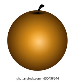 Isolated grapefruit on a white background, Vector illustration