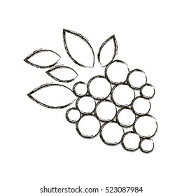 Isolated grapes design