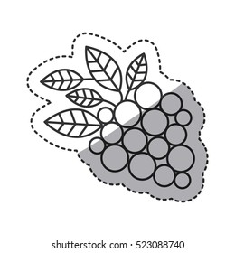 Isolated grapes design