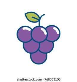 Isolated grapes design