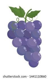 Isolated grapes fruit with leaves design