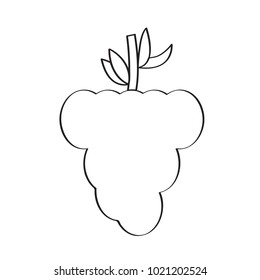 Isolated grapes icon