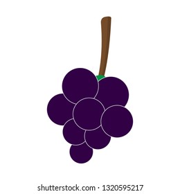 Isolated grapes icon imge. Vector illustration design