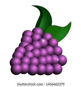 Isolated grapes image on a white background - VEctor