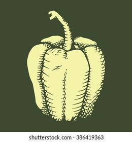 isolated graphic bell pepper