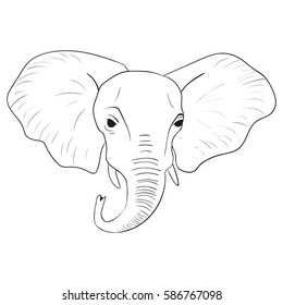 Isolated graphic elephants head on the white background