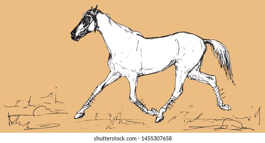  isolated graphic image of ballpoint pen running horse on white and color background and place for inscription 