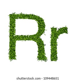 Isolated grass alphabet on white background