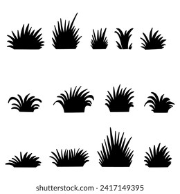 Isolated Grass on the white background. Grass silhouettes. Vector EPS 10	