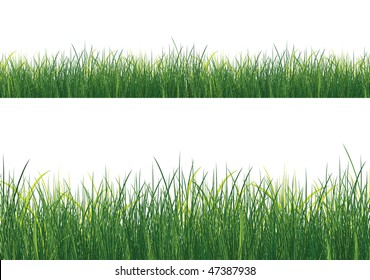 Grasa aislada sobre fondo blanco. Vector.
