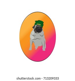 Isolated gray pug vector. Hipster pug in the green hat vector icon on the orange and pink background..
