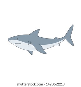 Isolated gray shark on white background. Sea animal, fish. Colorful flat shark.