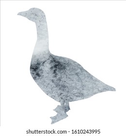 isolated, gray watercolor goose silhouette