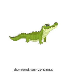 Isolated green alligator animated animals jungle vector illustration