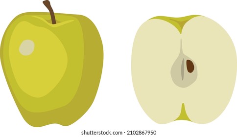 Isolated green apple set fruit sliced illustration clipart vector