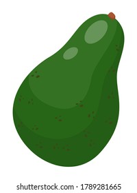 Isolated green avocado at white background. Natural organic alligator pear for salad, sandwiches or culinary. Healthy eating, keeping diet, vegeterian concept. Fresh eco product. Cartoon style